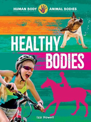 cover image of Healthy Bodies